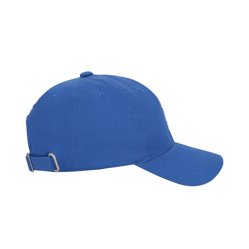 dodgers disneyland hat