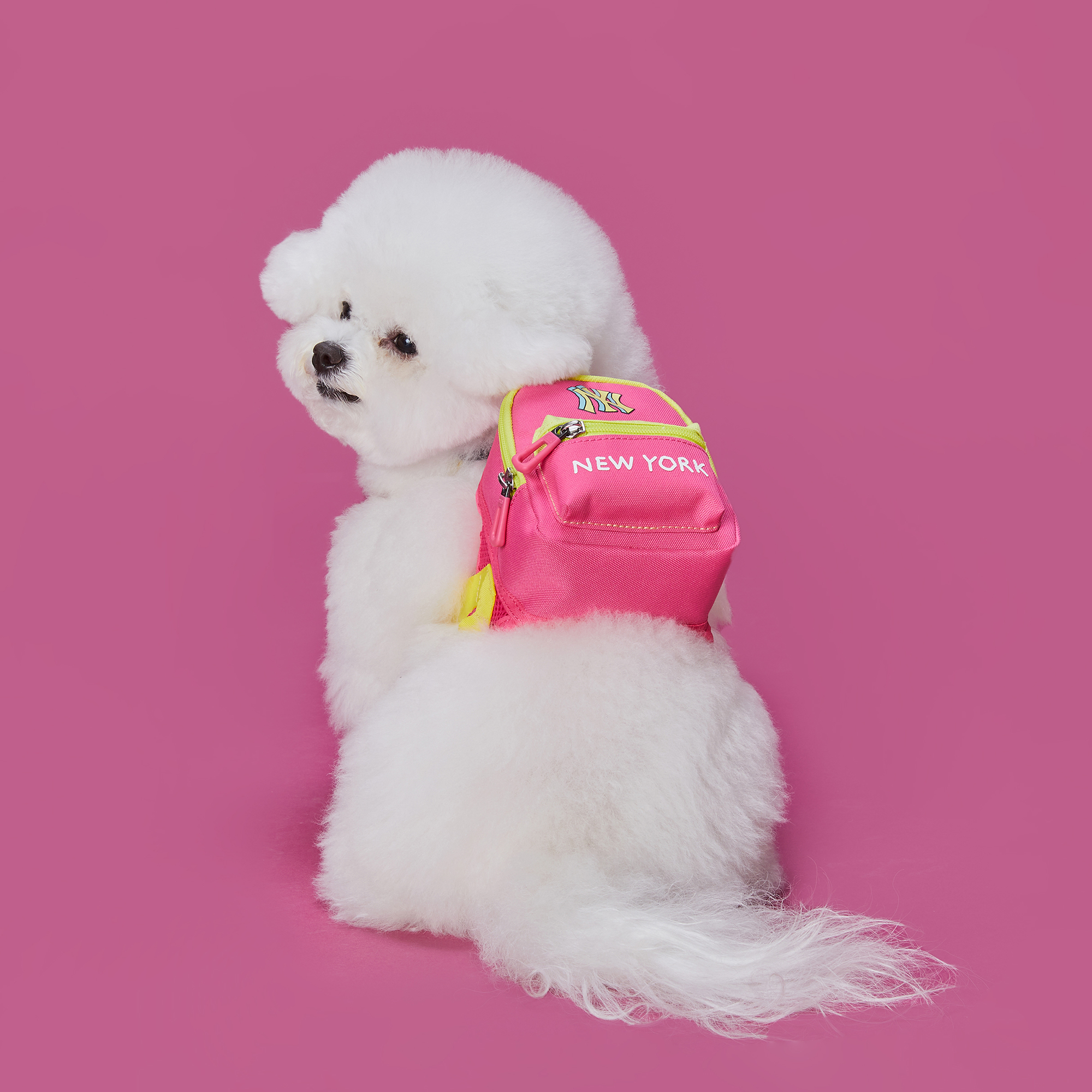 [PET] MLB LIKE 가방 뉴욕양키스 PET MLB Kids