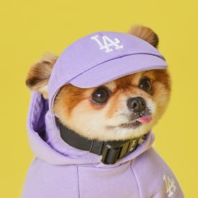 [PET] 베이직 로고 캡 LA다저스