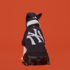 [PET] 모노그램 맨투맨 뉴욕양키스